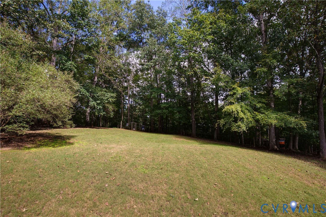 380 Flag Station Road Henrico, VA 23238 - Photo 61 of 70 a view of outdoor space and yard