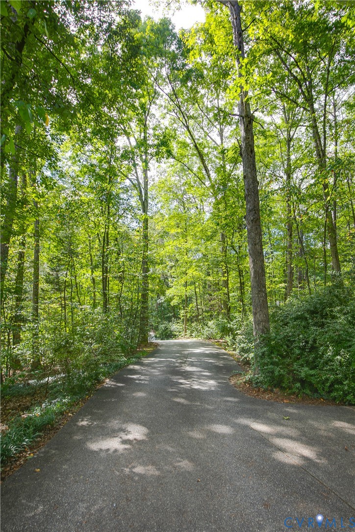 380 Flag Station Road Henrico, VA 23238 - Photo 62 of 70 Driveway