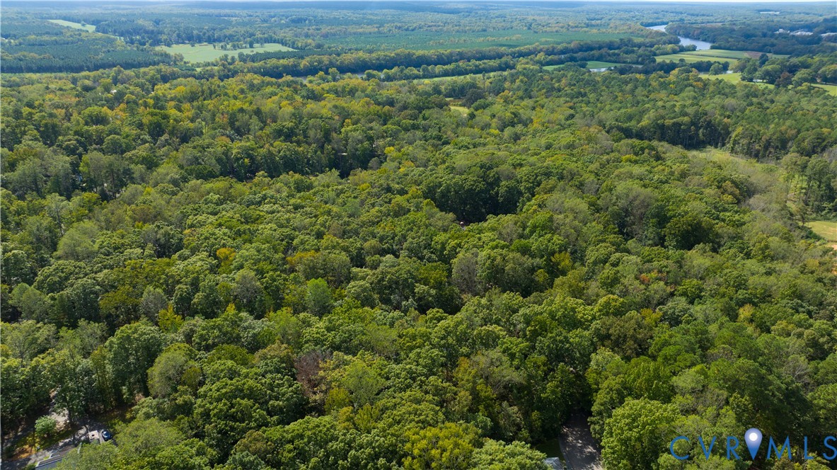380 Flag Station Road Henrico, VA 23238 - Photo 65 of 70 an aerial view of residential houses with outdoor space and trees