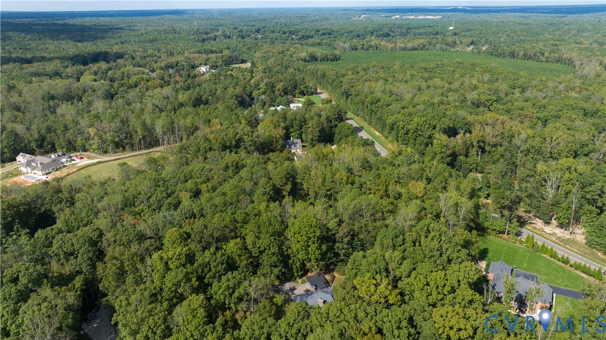 380 Flag Station Road Henrico, VA 23238 - Photo 67 of 70 a view of a green field with lots of bushes