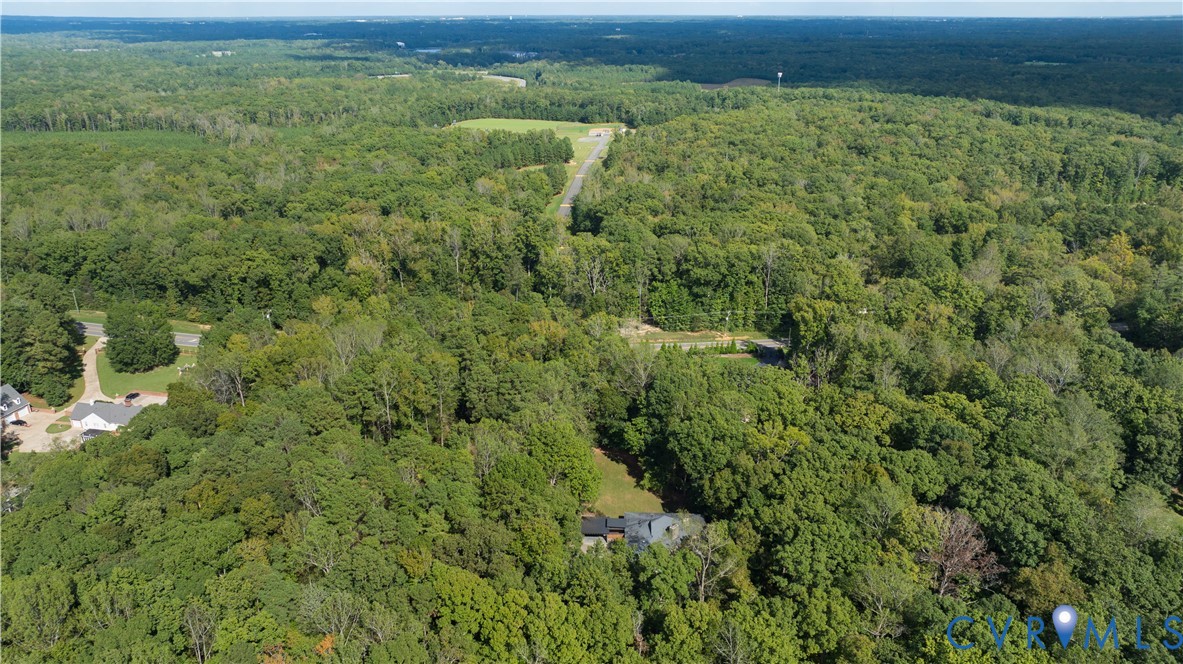 380 Flag Station Road Henrico, VA 23238 - Photo 68 of 70 a view of a large yard with lots of green space