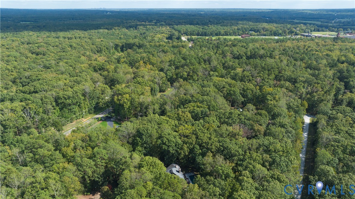 380 Flag Station Road Henrico, VA 23238 - Photo 70 of 70 a view of a green field with lots of bushes