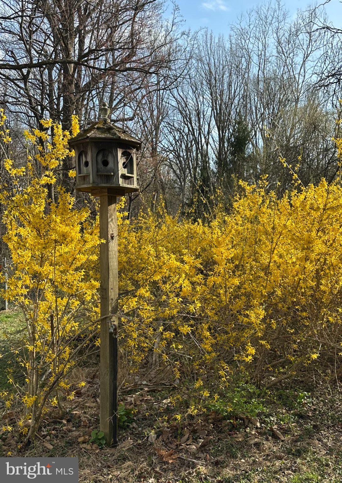 12000 Bethesda Church Road Damascus, MD 20872 - Photo 22 of 59 Charming birdhouse amidst golden blooms.