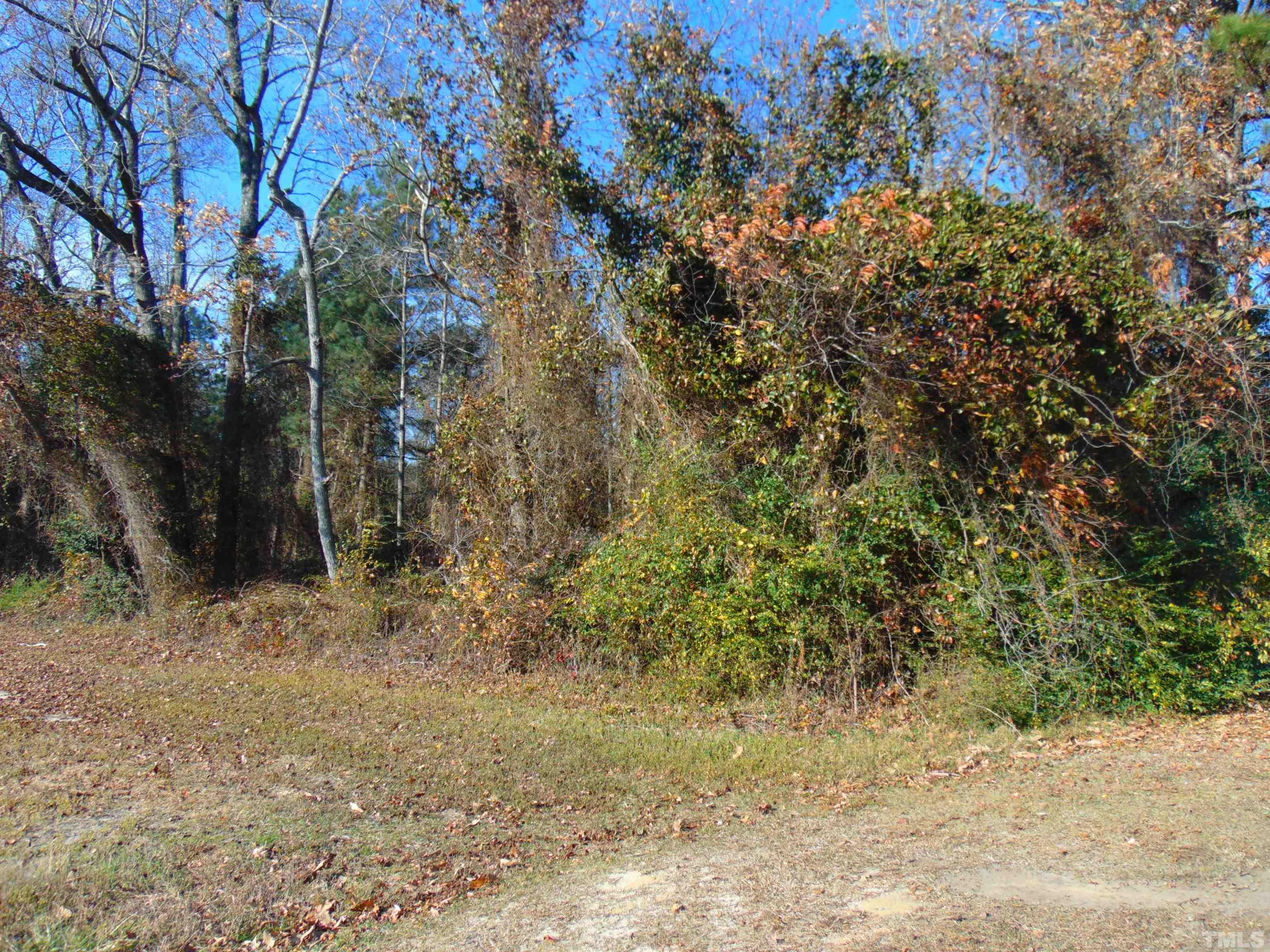 0 Bugshop Road Princeton, NC 27569 - Photo 1 of 6 Gallery Image 1