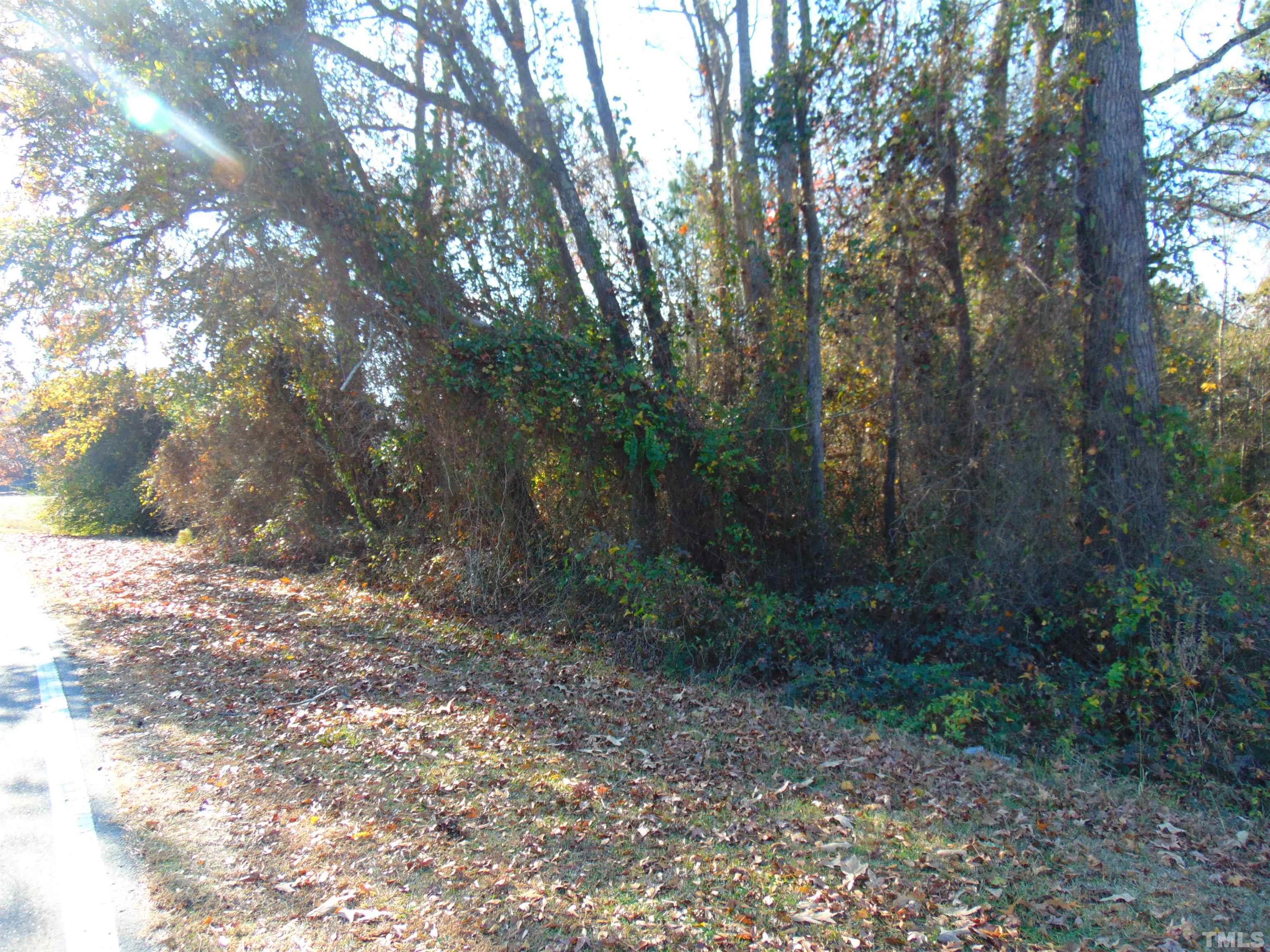 0 Bugshop Road Princeton, NC 27569 - Photo 2 of 6 Gallery Image 2