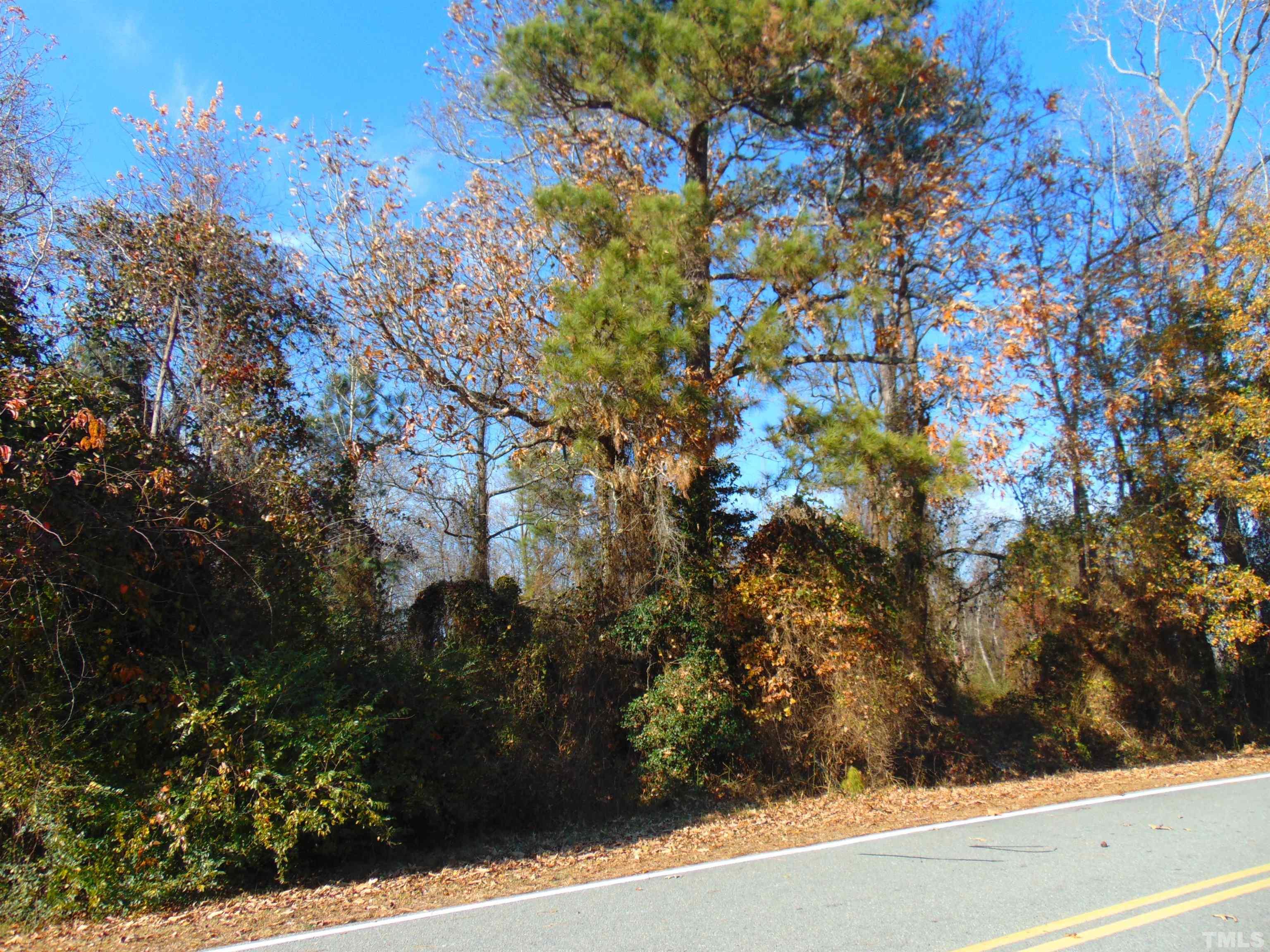 0 Bugshop Road Princeton, NC 27569 - Photo 3 of 6 Gallery Image 3