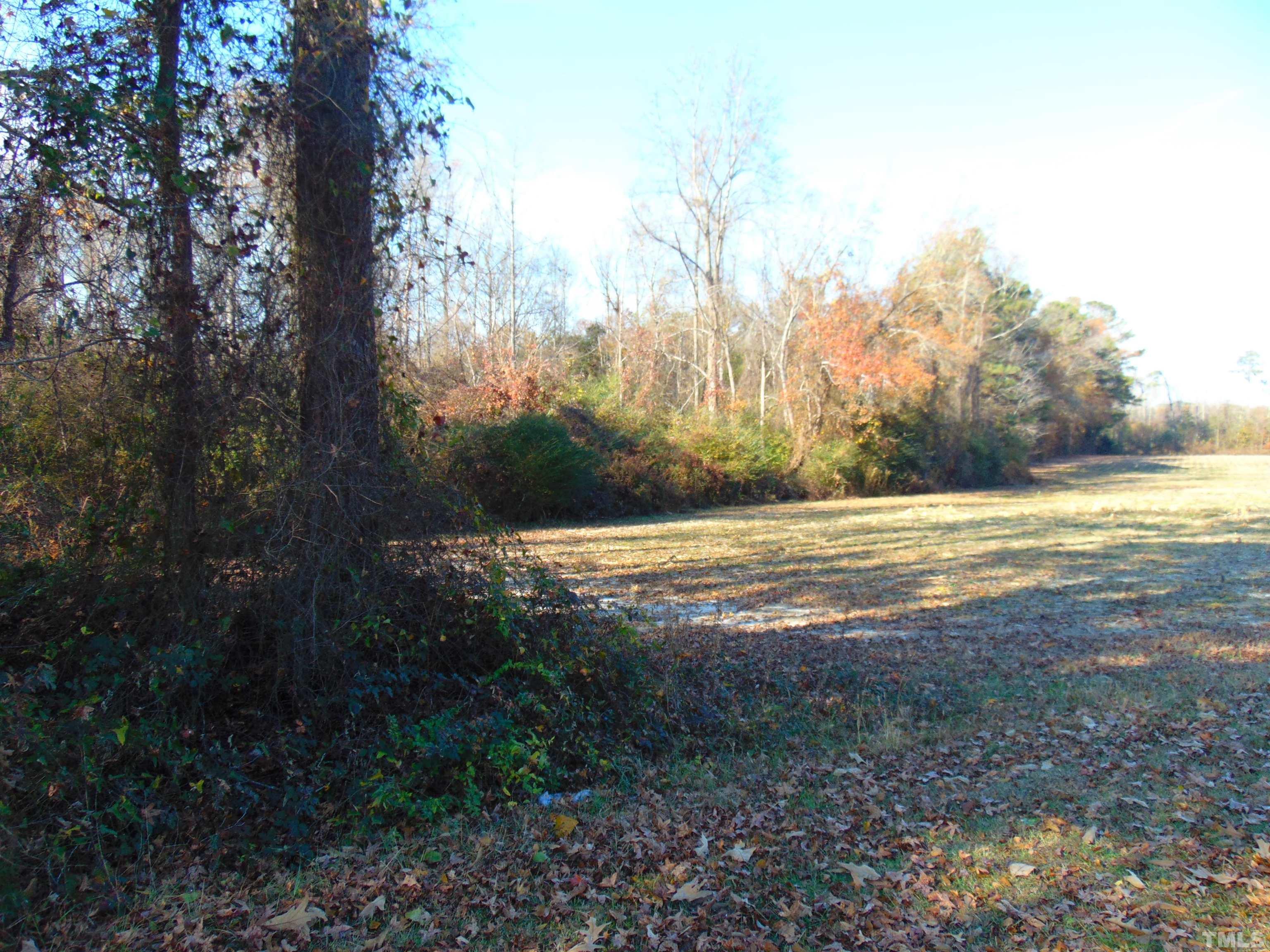 0 Bugshop Road Princeton, NC 27569 - Photo 4 of 6 Gallery Image 4