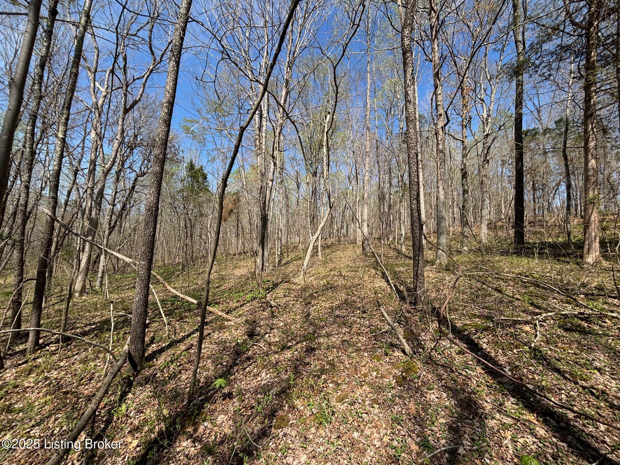 523 Roach Road Webster, KY 40176 - Photo 13 of 22 IMG_2604