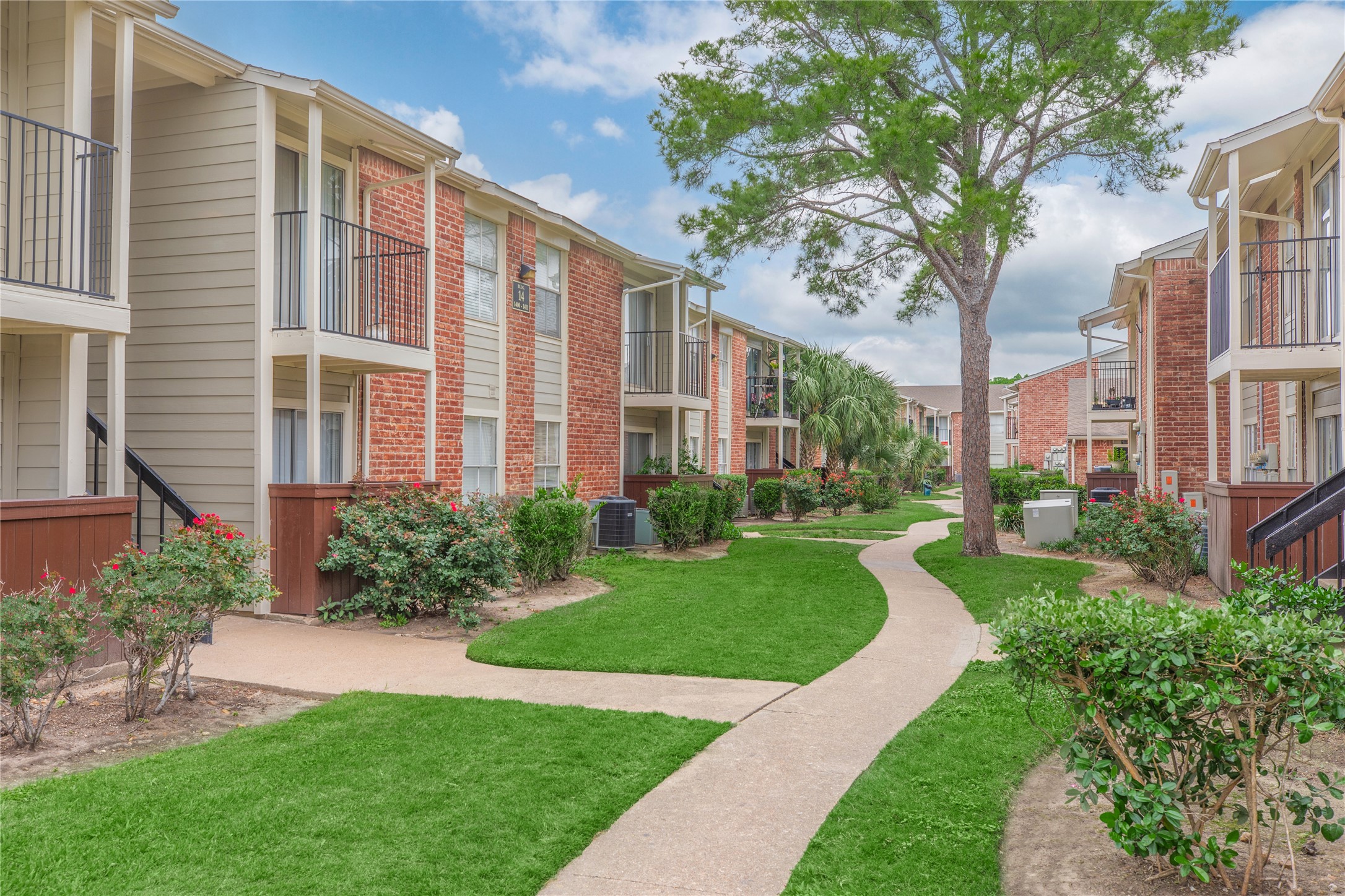 3401 Ocee Street, Unit 304 Houston, TX 77063 - Photo 5 of 6 a view of a big yard with plants and large trees