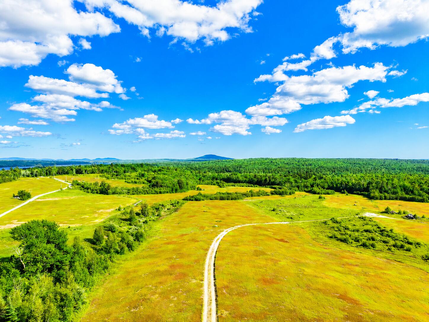 Map19-lot28 Leach Road Penobscot, ME 04476 - Photo 2 of 16 MAP19LOT28 Leach Road