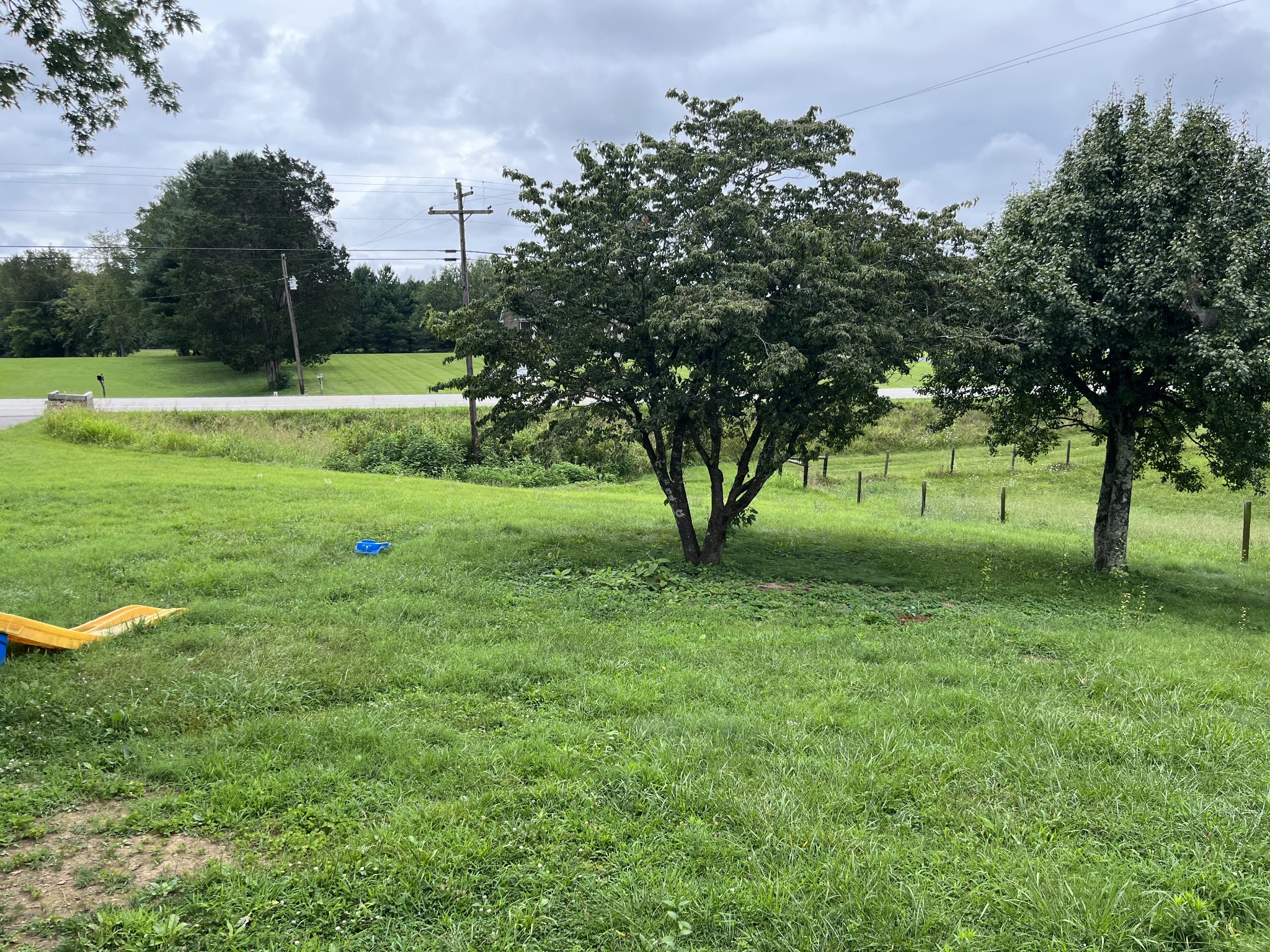 1701 Willette Road Red Boiling Springs, TN 37150 - Photo 3 of 12 a view of a park with large trees