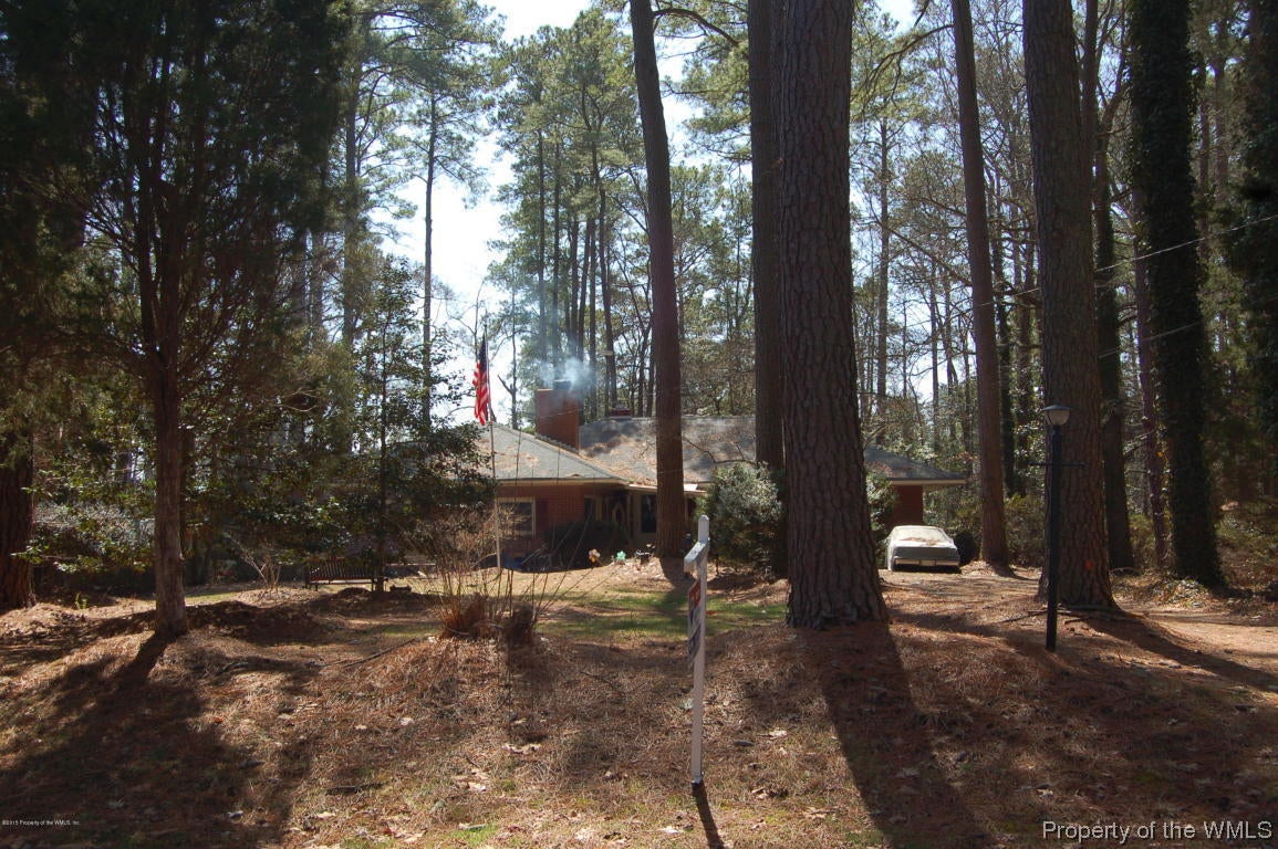 DSC_0002.JPG