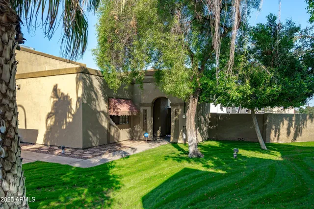 a view of a park with a large tree