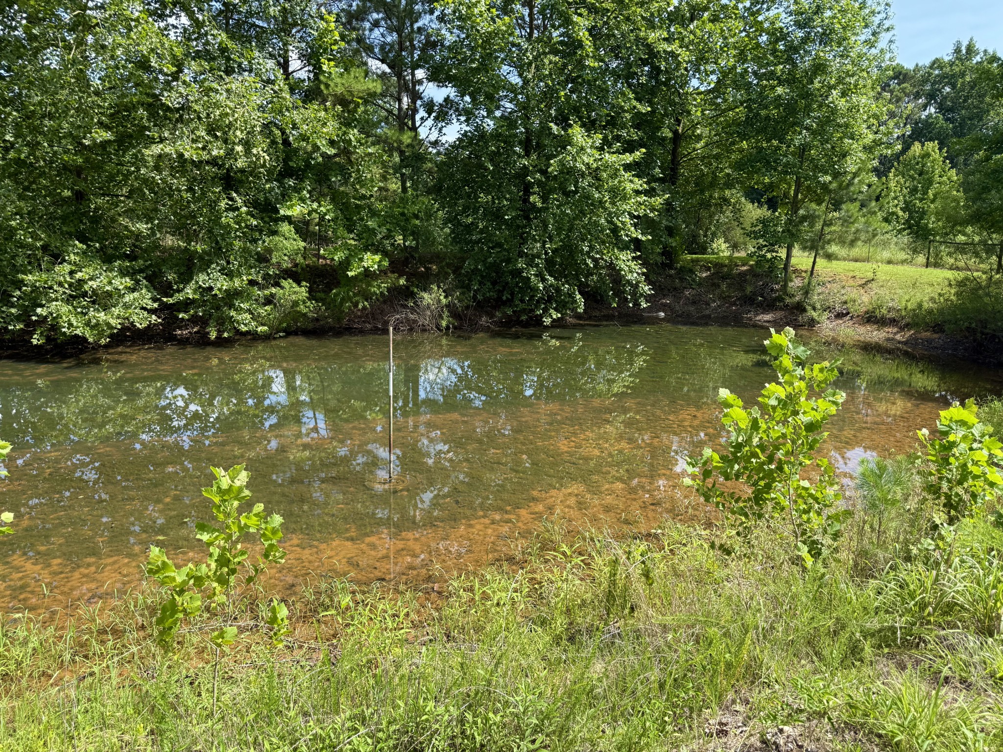 59 Hardin Loop Westpoint, TN 38486 - Photo 41 of 74