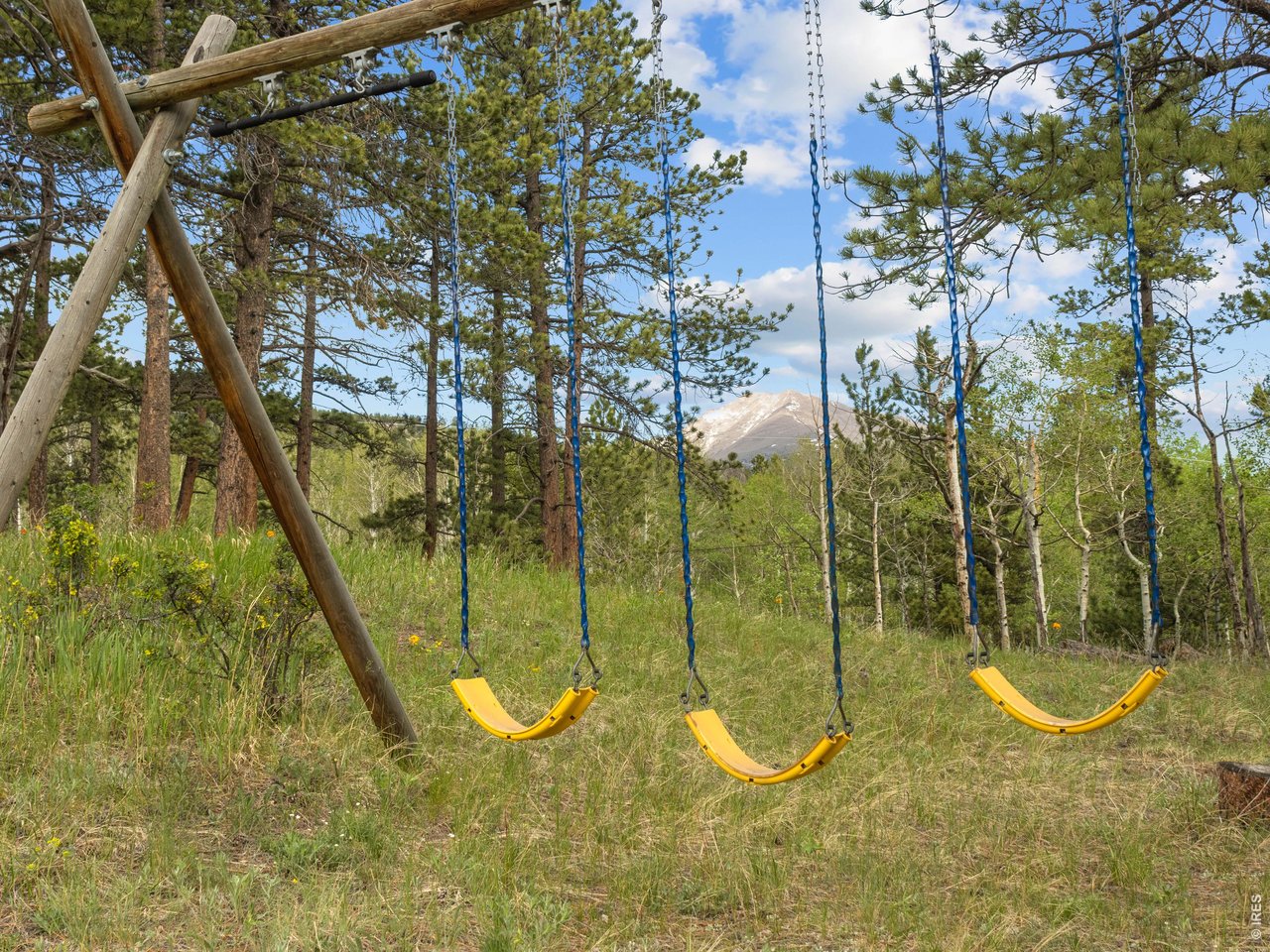 839 Ski Road Allenspark, CO 80510 - Photo 8 of 38