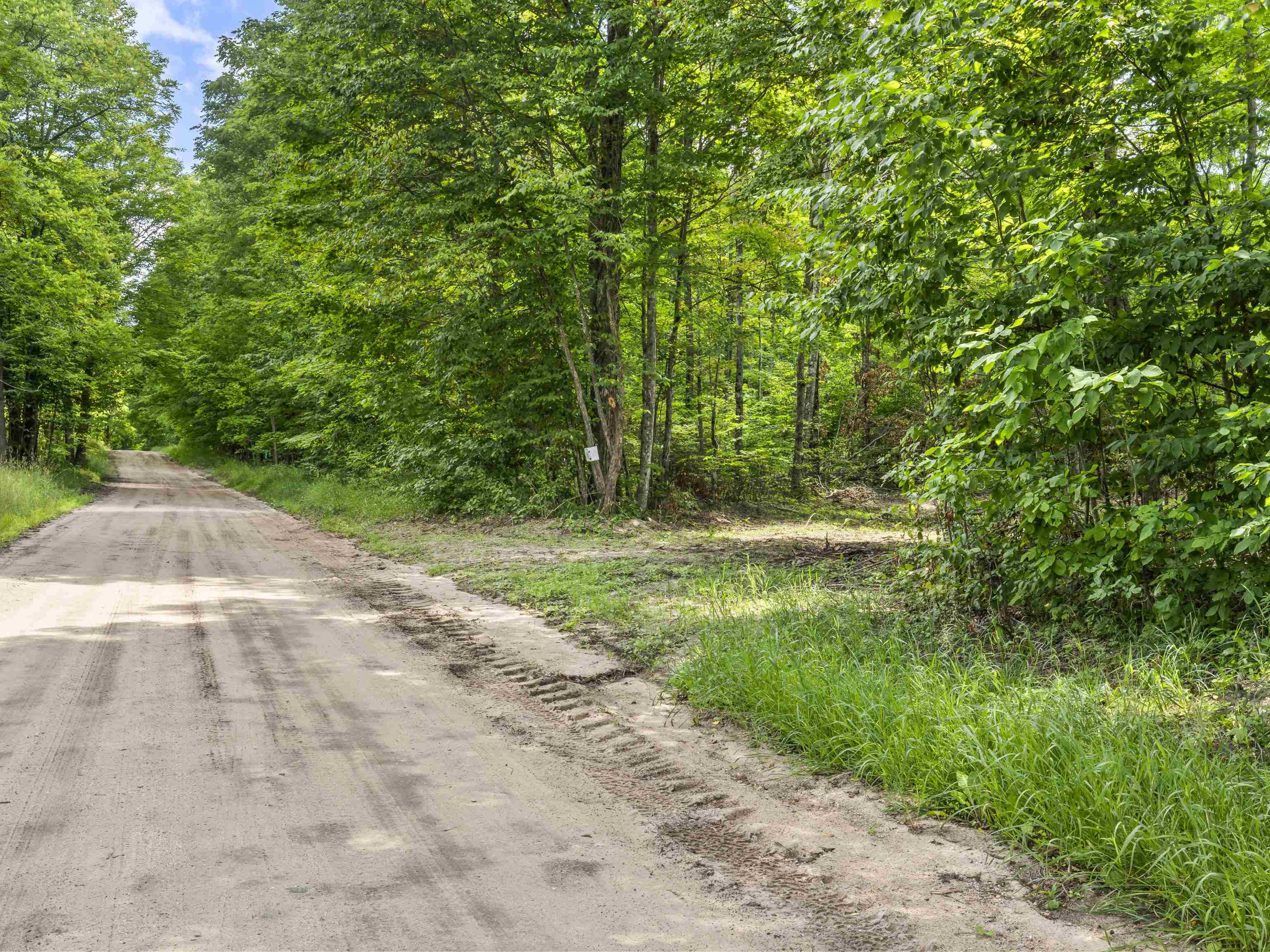 0 Valencourt Road Copemish, MI 49625 - Photo 6 of 12 1948864-78c1c7db-a3e6-4868-9ebc-1276aa77987f.JPG