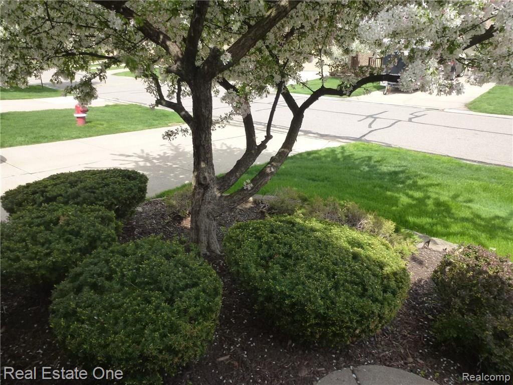 2176 Rochelle Park Drive, Unit 108 Rochester, MI 48309 - Photo 6 of 42 P1060333.JPG