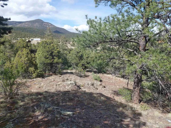 $20,000 | 275 Wild Horse Trail, South Fork, CO 81154
