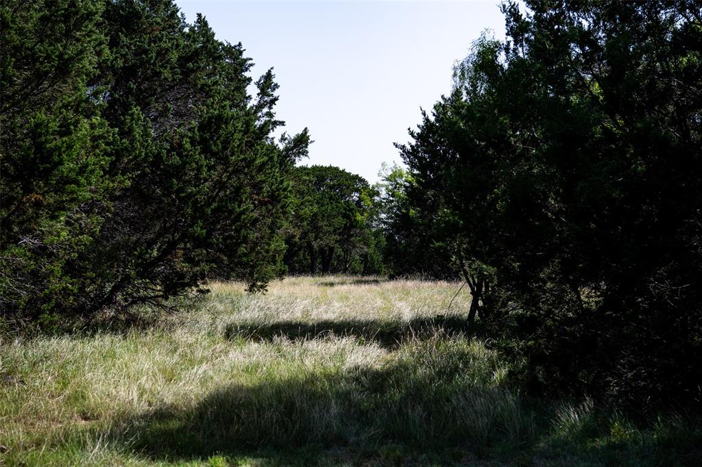 235 Big Bear Loop Strawn, TX 76475 - Photo 16 of 40