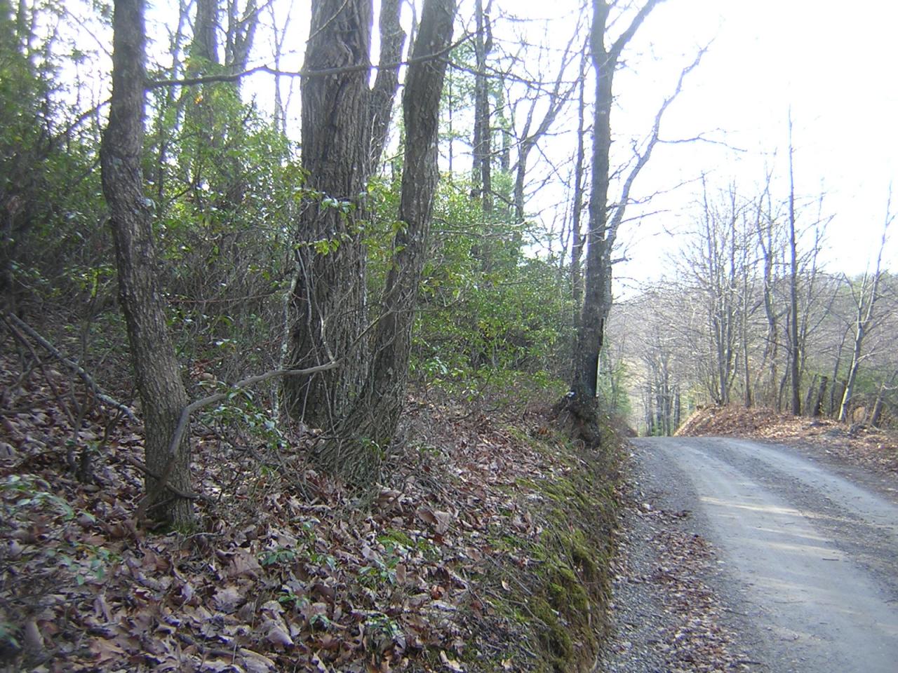 Lot 6 Countyline Church Road Southeast Floyd, VA 24091 - Photo 2 of 5 Road Frontage