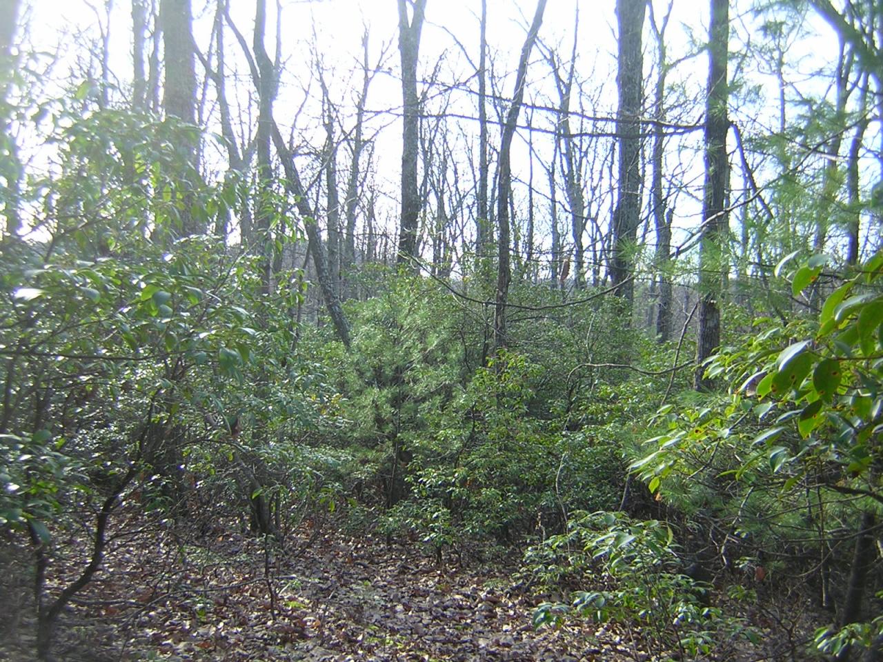 Lot 6 Countyline Church Road Southeast Floyd, VA 24091 - Photo 3 of 5 Acreage
