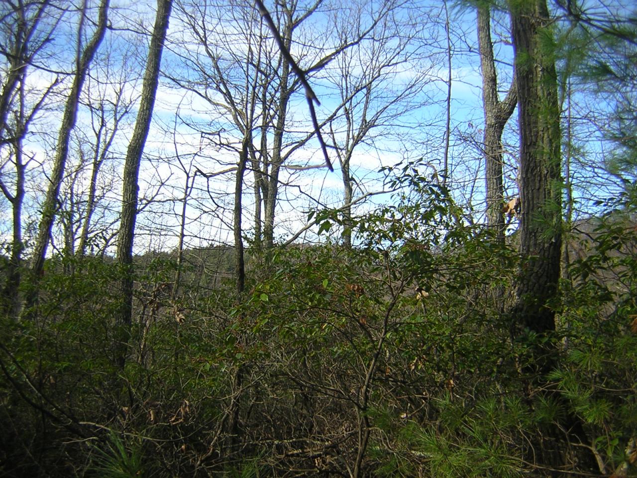 Lot 6 Countyline Church Road Southeast Floyd, VA 24091 - Photo 5 of 5 View of Property