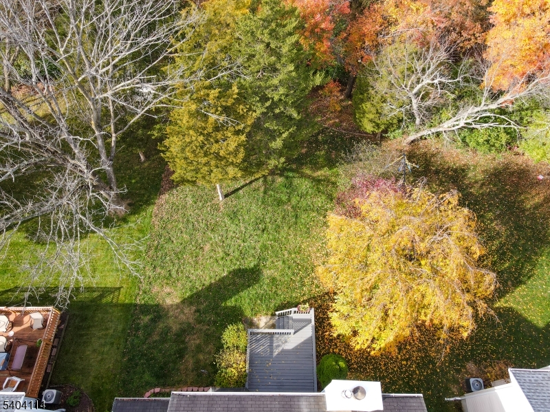 42 Springfield Road North Brunswick, NJ 08902 - Photo 6 of 29 a view of a yard with plants and large trees