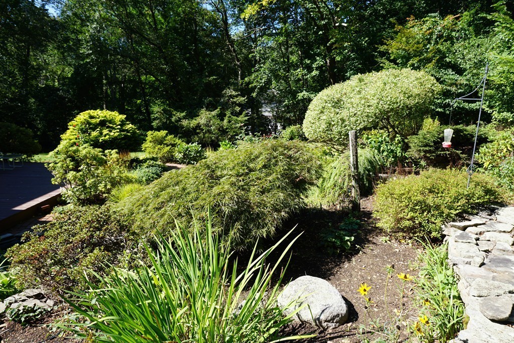 32 McGregory Road Sturbridge, MA 01566 - Photo 25 of 28 a view of a garden with plants
