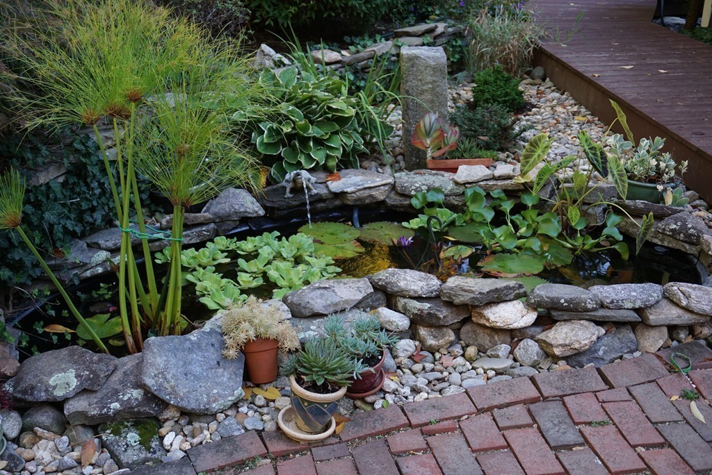 32 McGregory Road Sturbridge, MA 01566 - Photo 26 of 28 a bunch of plants and lots of trees
