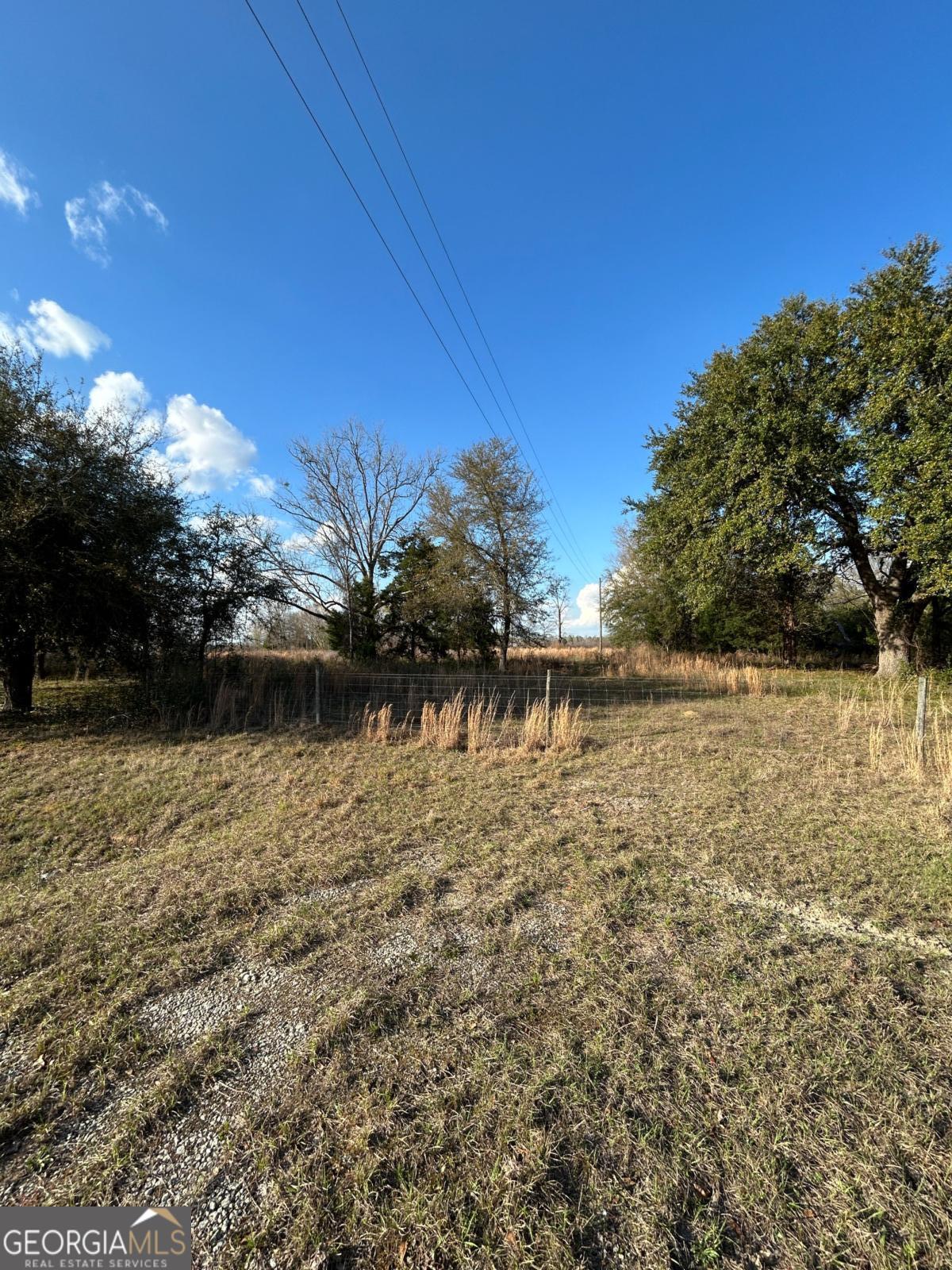 0 Scotts Store Road Millen, GA 30442 - Photo 2 of 3