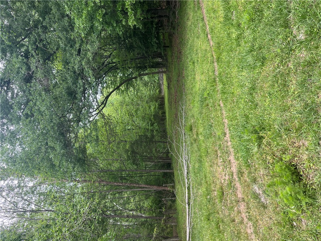 107 Humphrey Wright Road Honea Path, SC 29654 - Photo 11 of 23 Explore this expansive lot with mature trees, offering a serene and private natural setting.