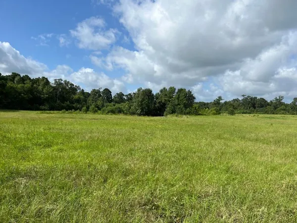 a view of a field with an ocean