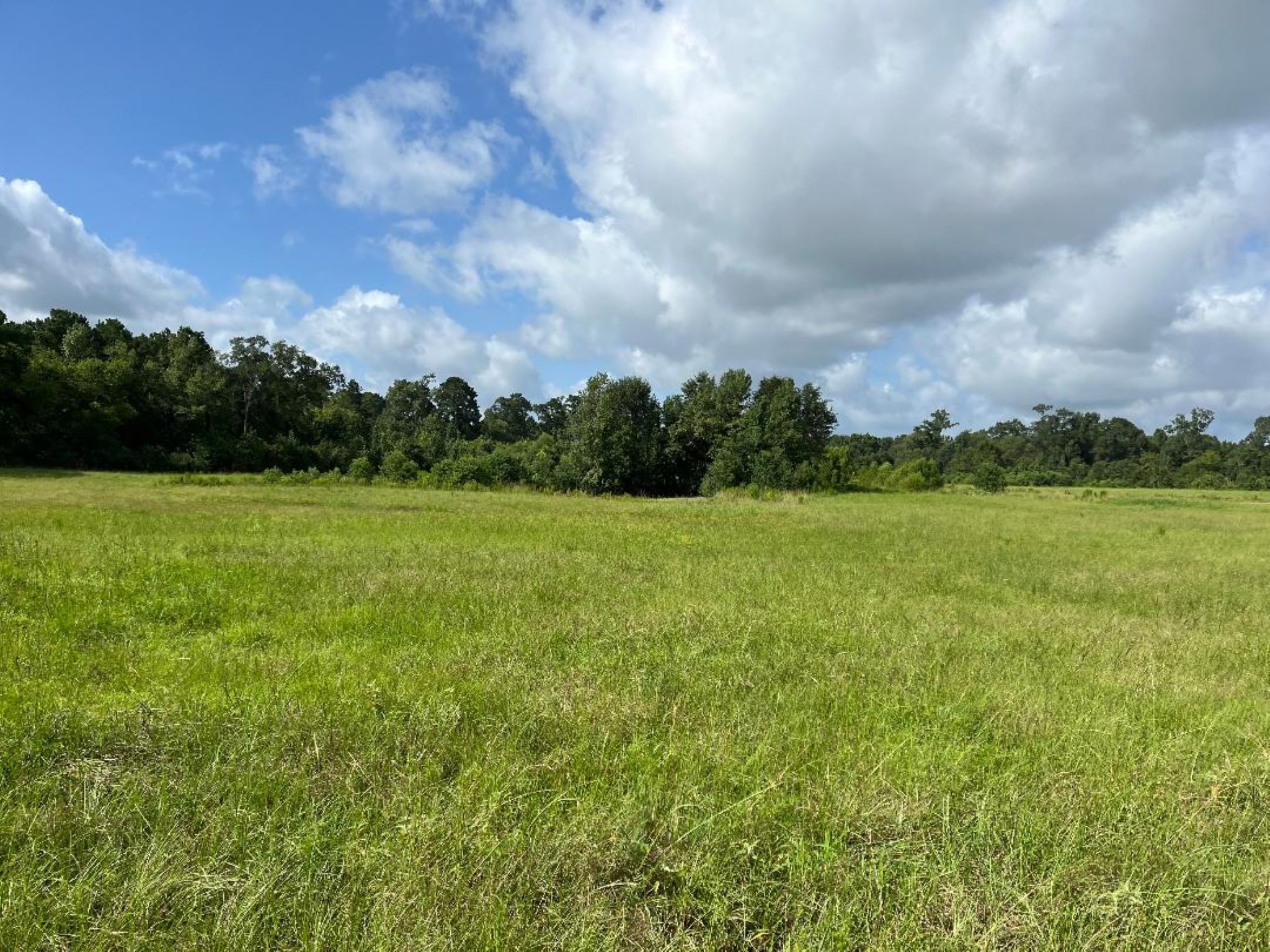 a view of a green field with wooden fence