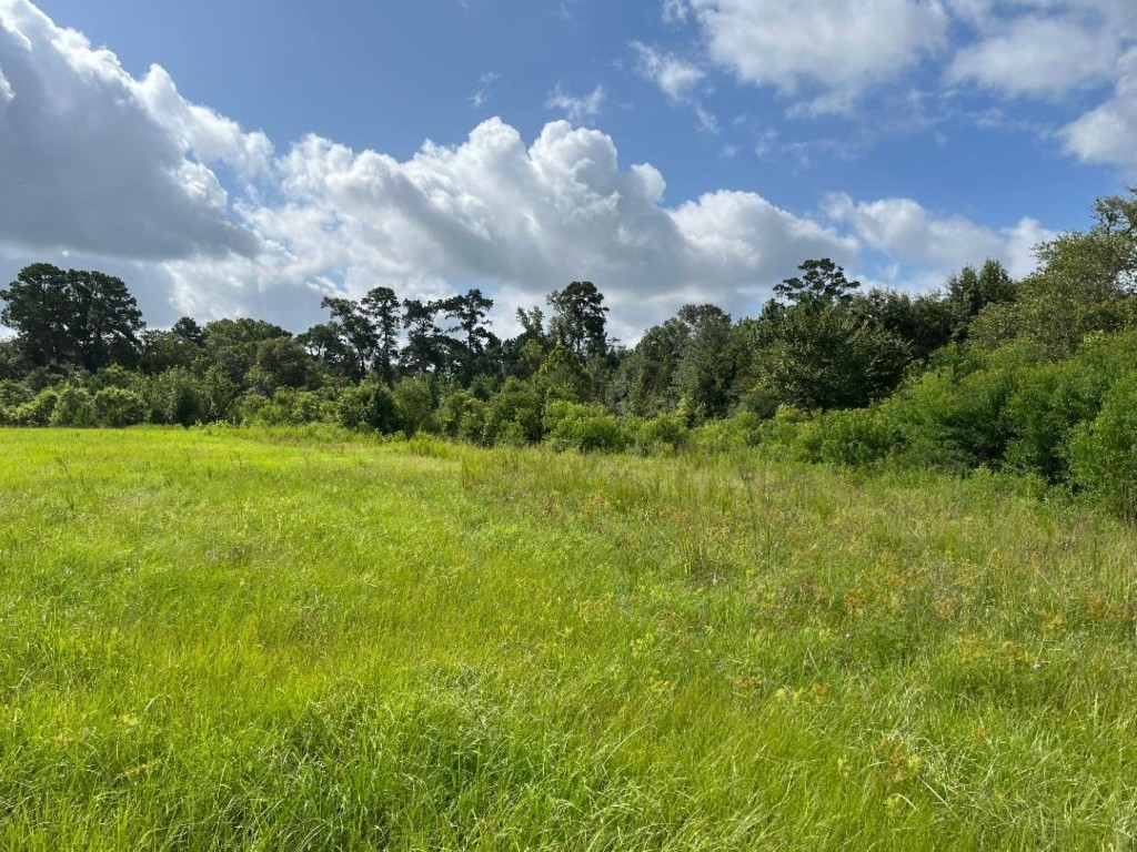 0 Fm-3317 Groveton, TX 75845 - Photo 11 of 20