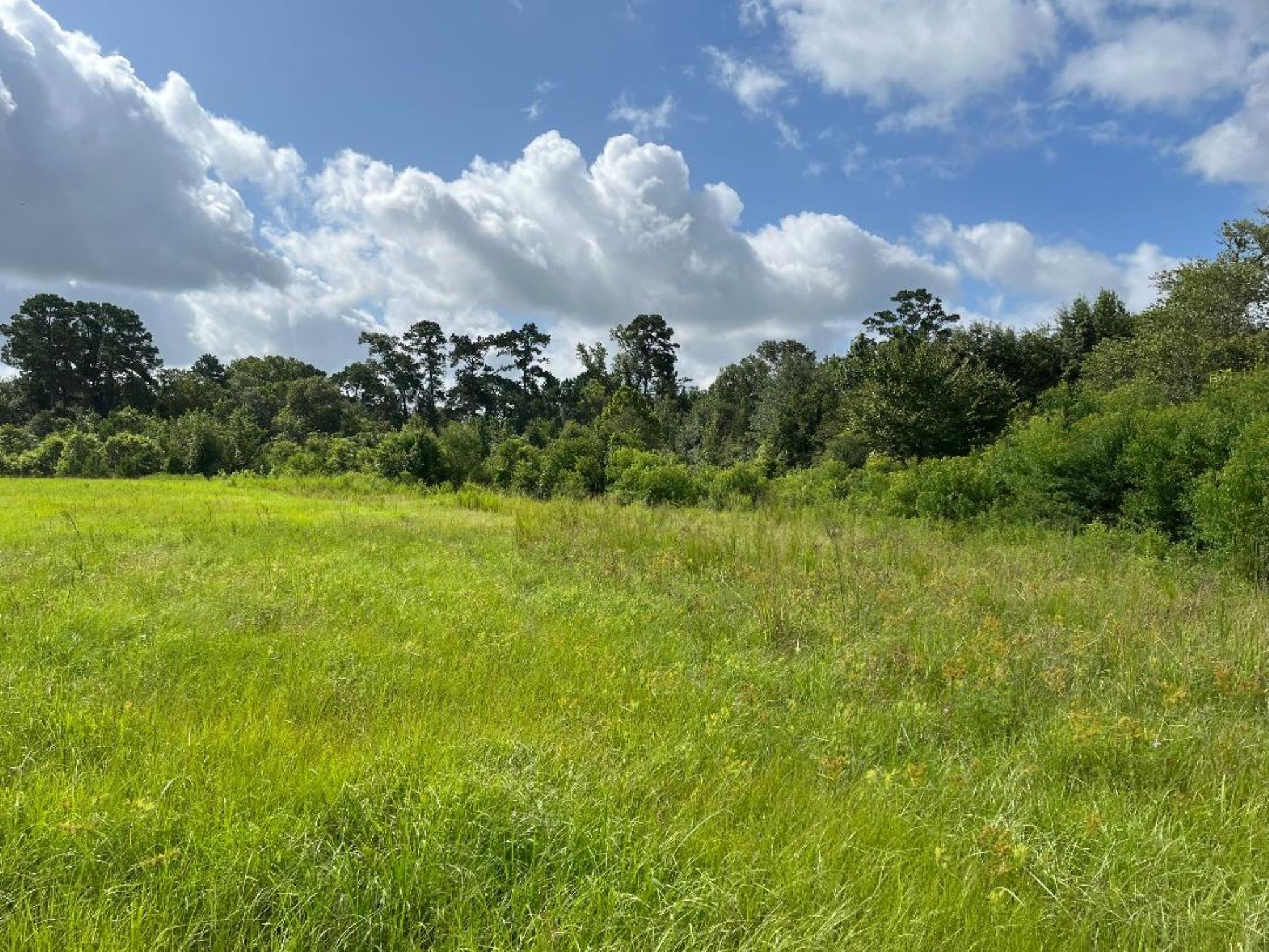 0 Fm-3317 Groveton, TX 75845 - Photo 11 of 20 a view of a city