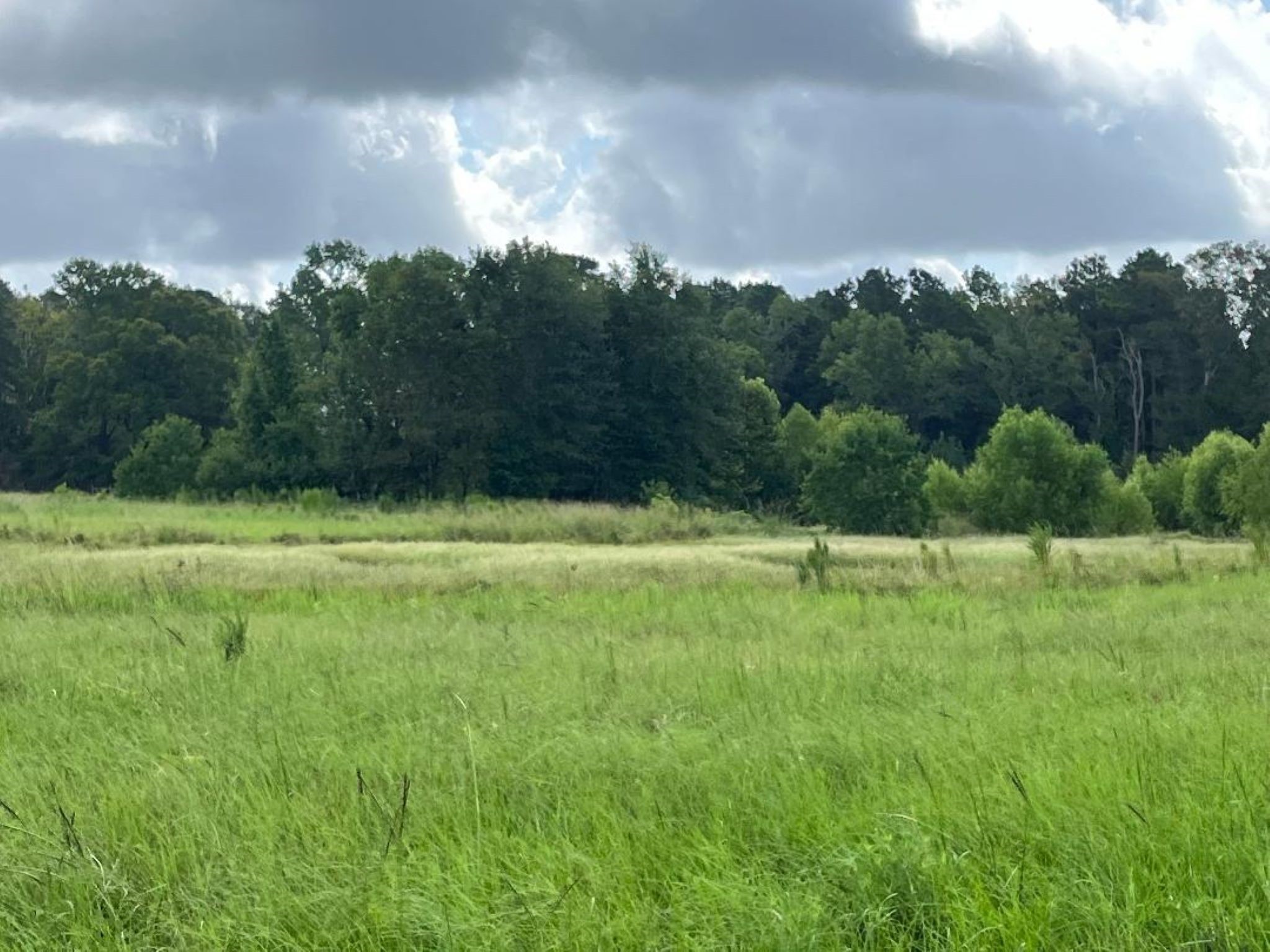 0 Fm-3317 Groveton, TX 75845 - Photo 12 of 20 a backyard of a house with lots of green space