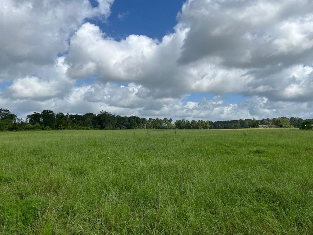 0 Fm-3317 Groveton, TX 75845 - Photo 13 of 20