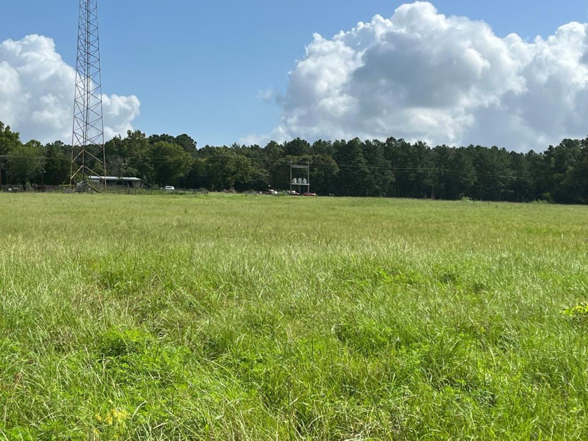 0 Fm-3317 Groveton, TX 75845 - Photo 14 of 20 a view of field with lots of green space