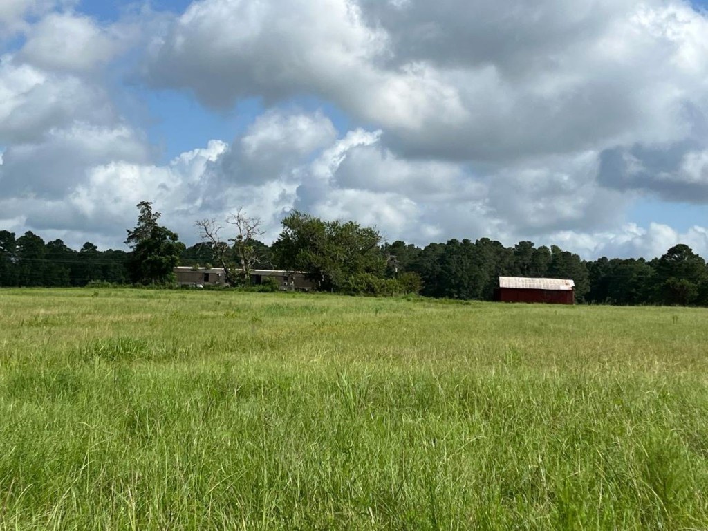 0 Fm-3317 Groveton, TX 75845 - Photo 15 of 20 a front view of a garden with trees