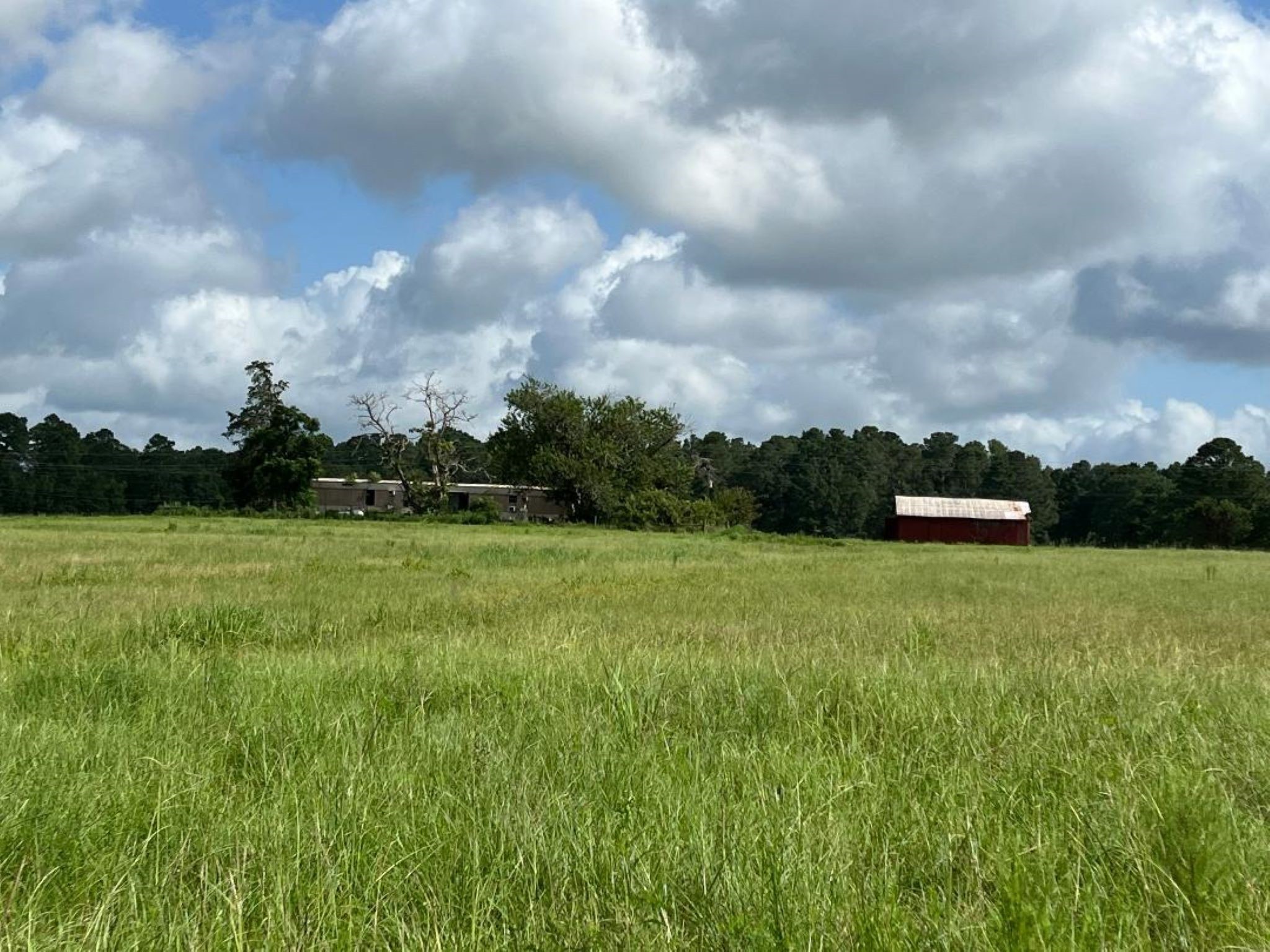 0 Fm-3317 Groveton, TX 75845 - Photo 15 of 20 a front view of a garden with trees