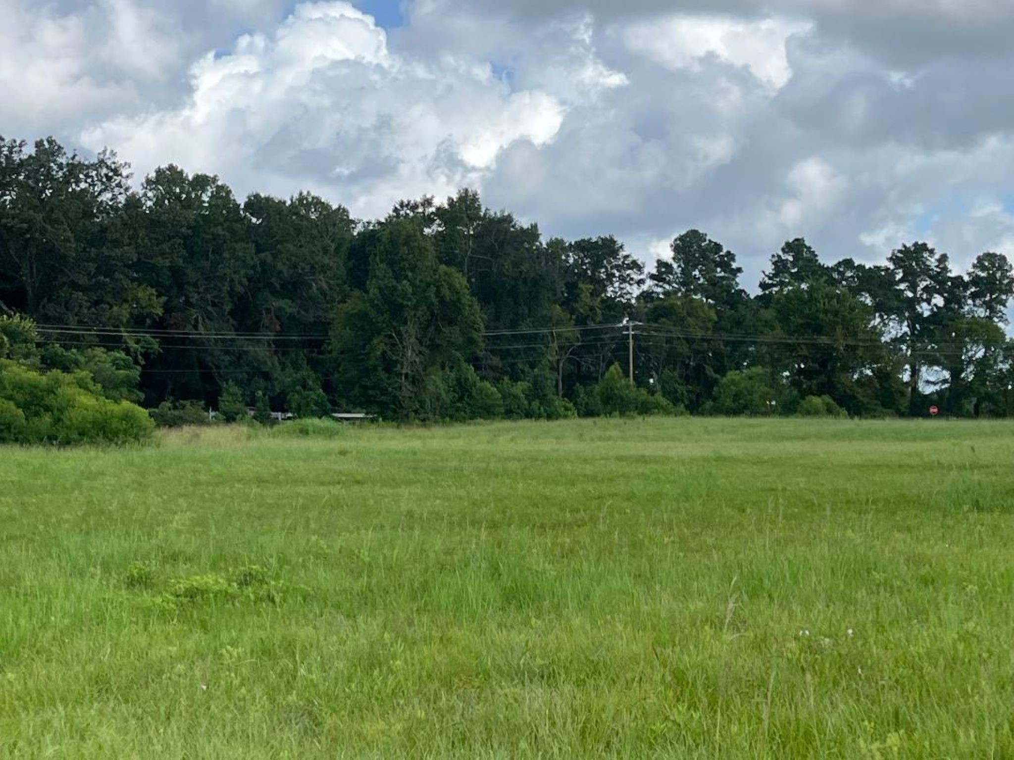 0 Fm-3317 Groveton, TX 75845 - Photo 16 of 20 a view of a green field
