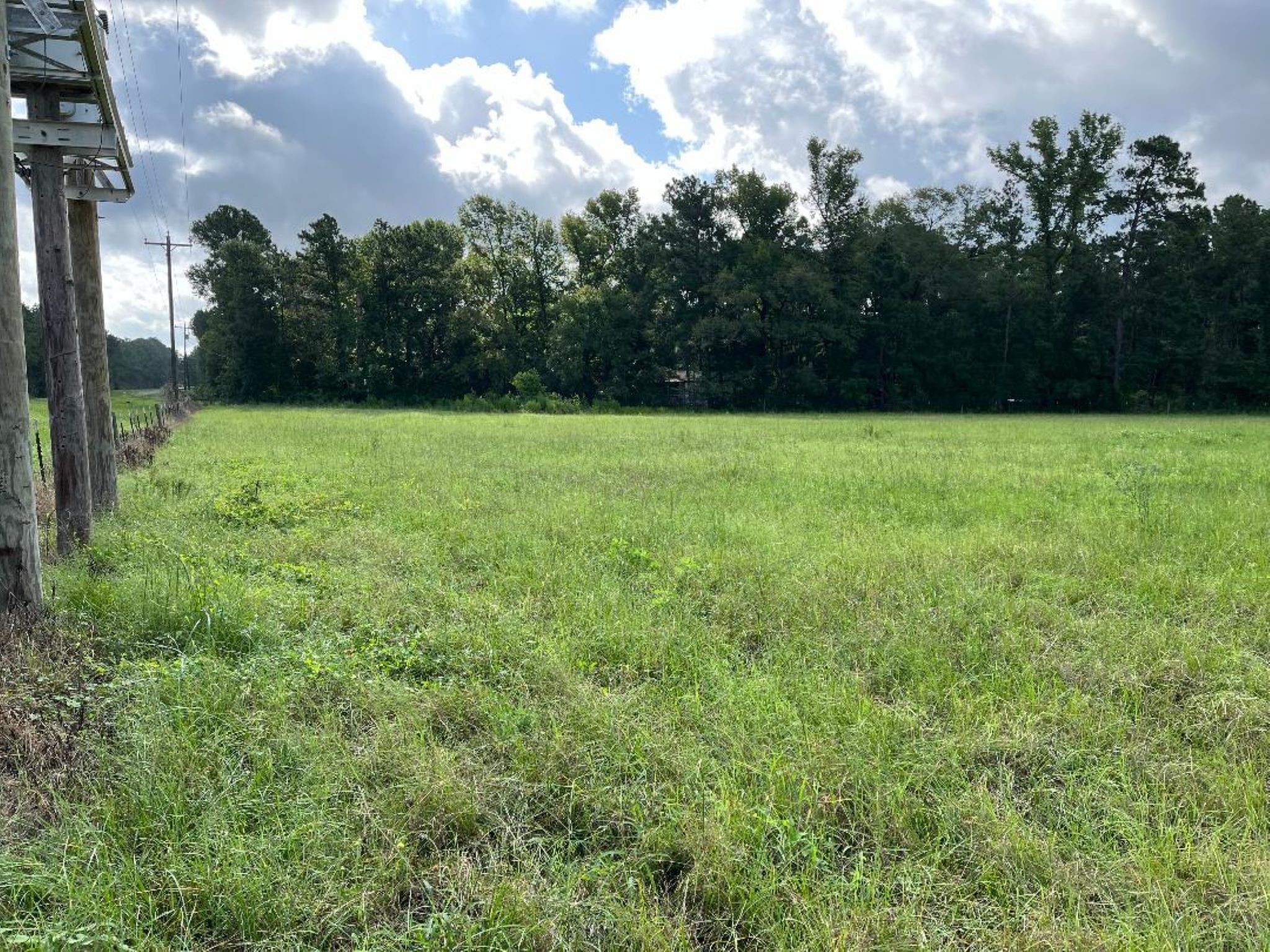 0 Fm-3317 Groveton, TX 75845 - Photo 17 of 20