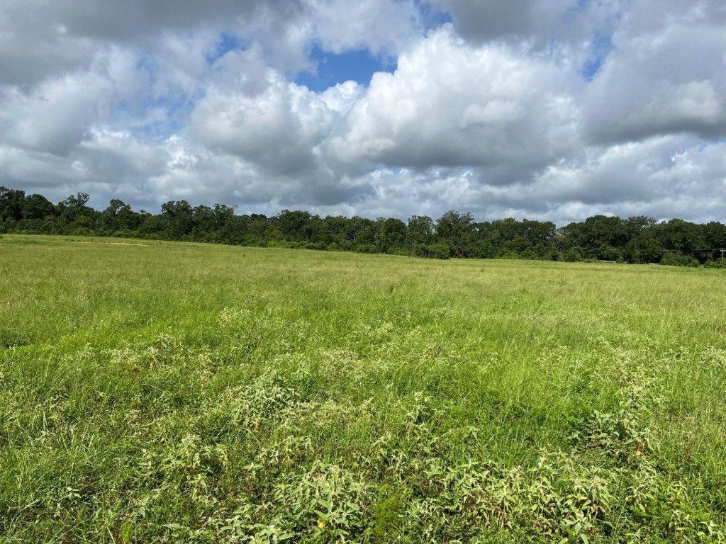 0 Fm-3317 Groveton, TX 75845 - Photo 18 of 20 a view of a field with an ocean