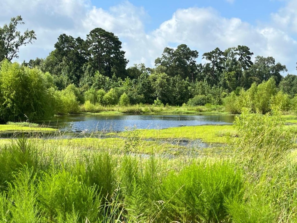 0 Fm-3317 Groveton, TX 75845 - Photo 2 of 20 a view of a lake view with a big yard