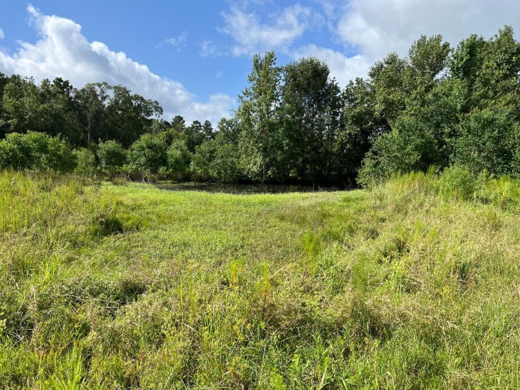 0 Fm-3317 Groveton, TX 75845 - Photo 5 of 20 a view of an outdoor space and a yard