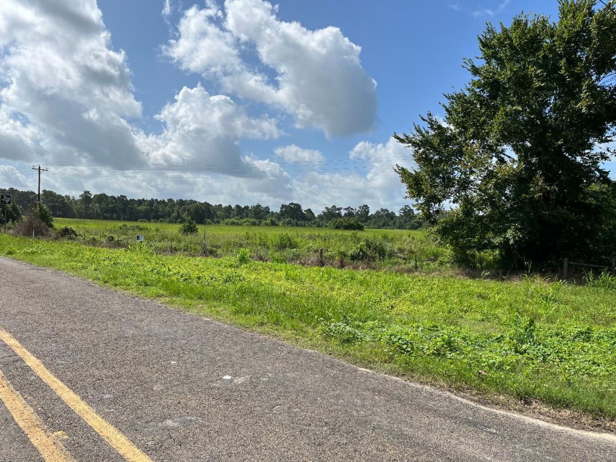 0 Fm-3317 Groveton, TX 75845 - Photo 9 of 20 a view of a garden with an outdoor space