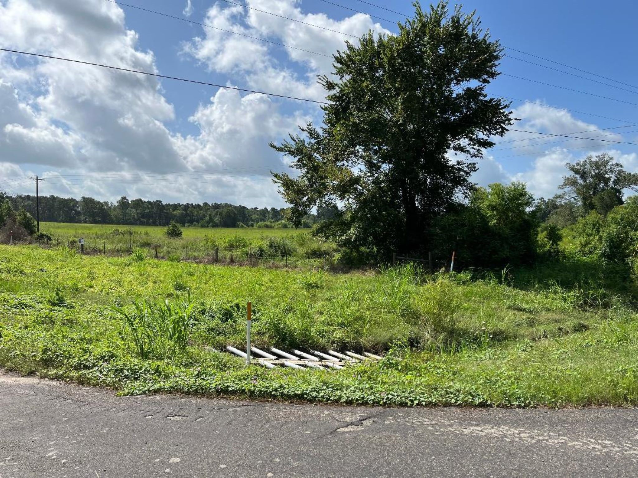 0 Fm-3317 Groveton, TX 75845 - Photo 10 of 20 a view of a garden