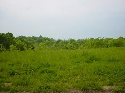 14 Jones Road Corinth, KY 41010 - Photo 2 of 4 Gallery Image 2