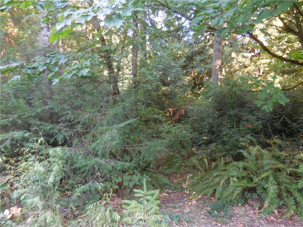 -2.32acre Southwest Dogwood Road Port Orchard, WA 98367 - Photo 1 of 1 Gallery Image 1