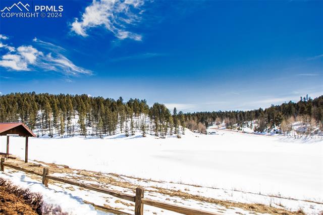 265 Arrowhead Road Florissant, CO 80816 - Photo 45 of 50
